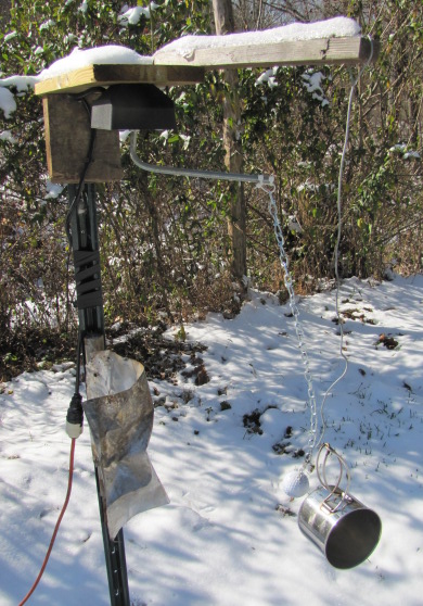 Deer deterrent in the snow