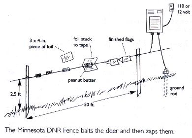 CAUSES OF DEER DAMAGE AMP; DEER DAMAGE CONTROL