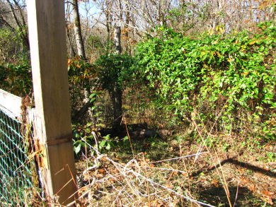 using chicken pasture moats to keep deer out of garden