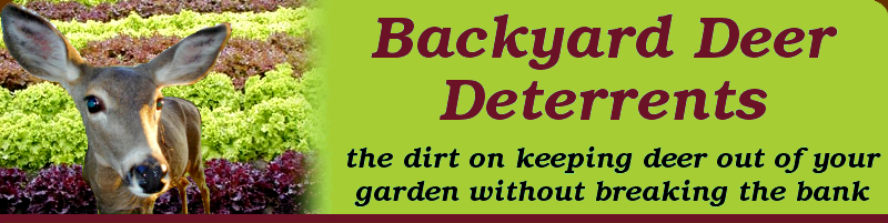 Backyard Deer Deterrents: the dirt on keeping deer out of your garden without breaking the bank.