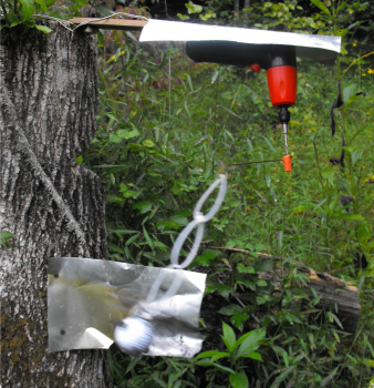 Deer sales repellent homemade