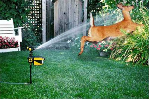 Deer repelling sprinkler